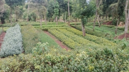 WhatsApp Image 2023-05-09 at 6.58.30 PM