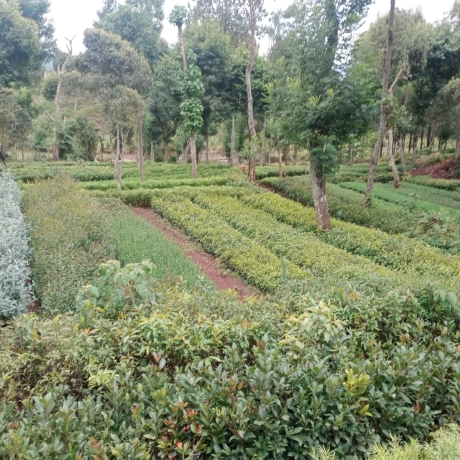 WhatsApp Image 2023-05-09 at 6.58.30 PM