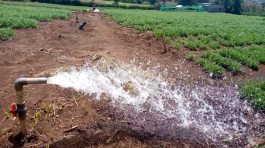 WhatsApp Image 2023-05-09 at 6.58.40 PM (1)