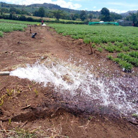 WhatsApp Image 2023-05-09 at 6.58.40 PM (1)