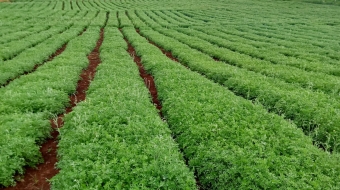 WhatsApp Image 2023-06-14 at 12.54.35 PM