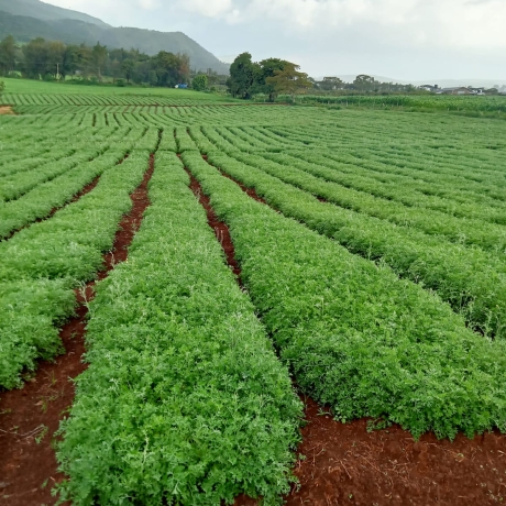 WhatsApp Image 2023-06-14 at 12.54.35 PM